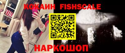 индика Камышлов