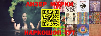 индика Камышлов