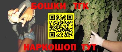 индика Камышлов