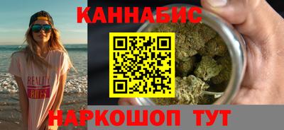 индика Камышлов