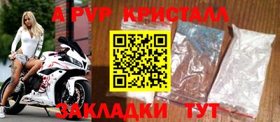 индика Камышлов