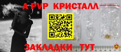 индика Камышлов