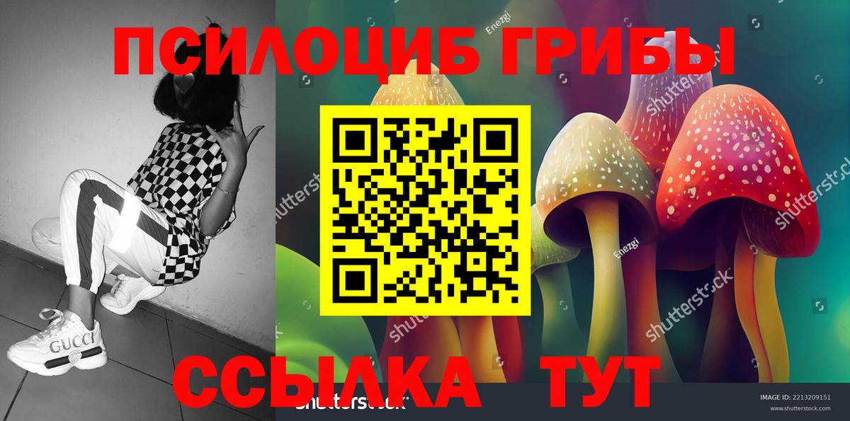 Псилоцибиновые грибы ЛСД  Псилоцибиновые грибы ЛСД  Вход с VPN  Краснодар 