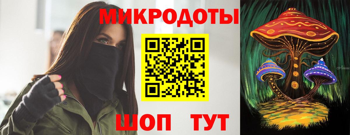 Галлюциногенные грибы Psilocybine cubensis Краснодар
